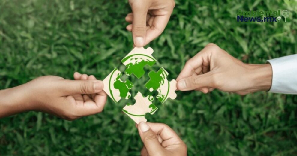 Empresas mexicanas, en la mira de la crisis climática: ¿Están preparadas para las pérdidas millonarias? 11 1 2