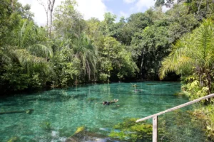 10 avances ambientales