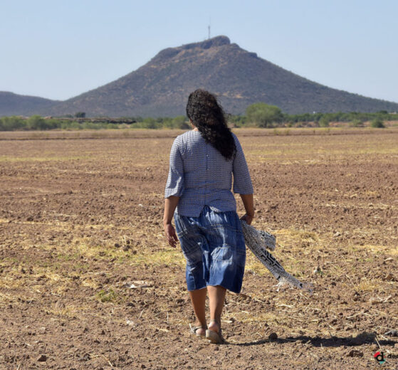 Defensoras ambientales