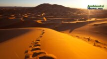 Investigadores proyectan un Sahara con lluvias cada vez más frecuentes y abundantes 19 2 9