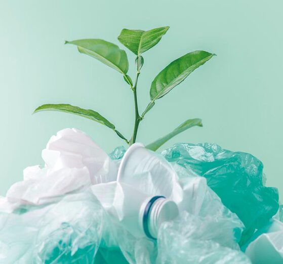 El futuro del plástico biodegradable
