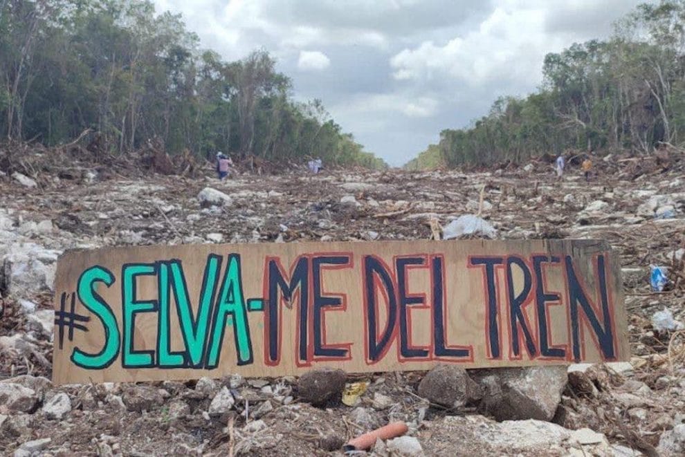 Artistas se unen a campaña contra el tren Maya 11 Tren Maya