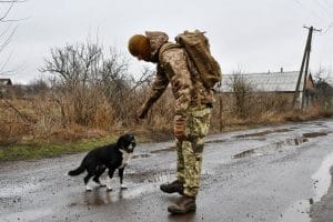 1645791463 201058 1645793121 album normal