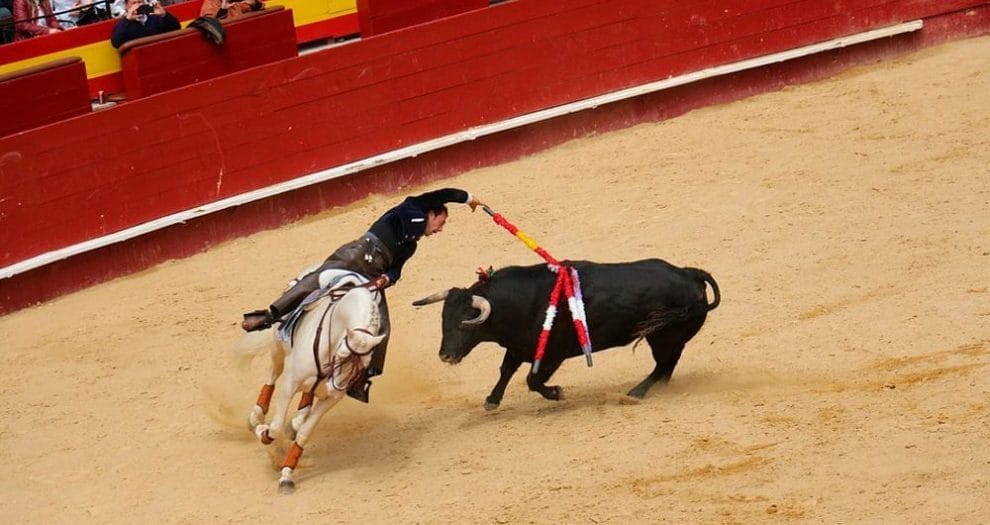 Corridas de toros min 1000x530 1