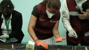 Crean escuelas de huertos en Venustiano Carranza