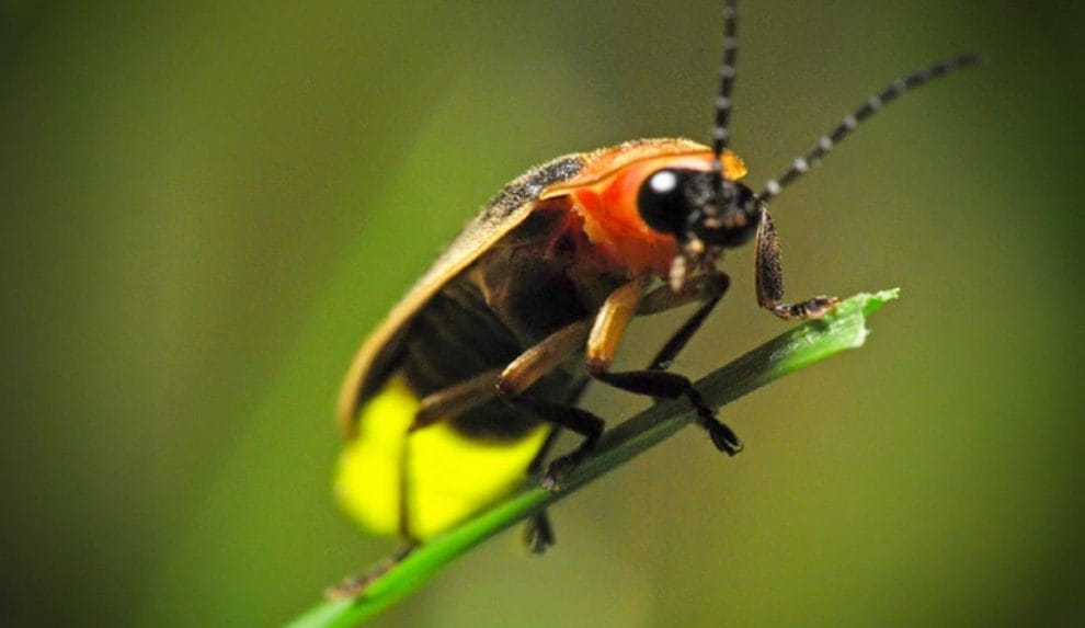 1581100852 067418 1581101176 noticia normal