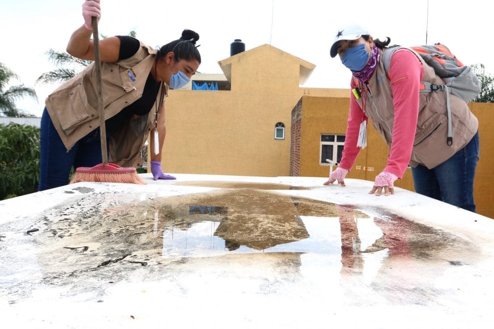 Mantengamos nuestros patios limpios 11 50323399333 3abfed614b o