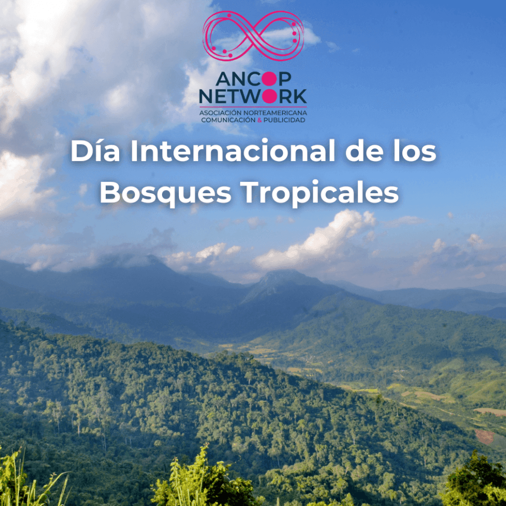 bosques tropicales