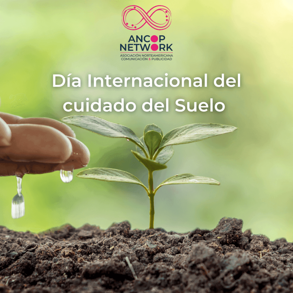Dia Internacional del cuidado del Suelo