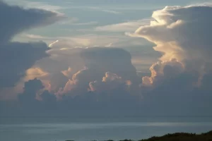 NJFKSDMUESQHTS36BTRUM2QBIE