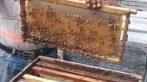 f1280x720 46663 178338 5050