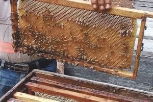 f1280x720 46663 178338 5050