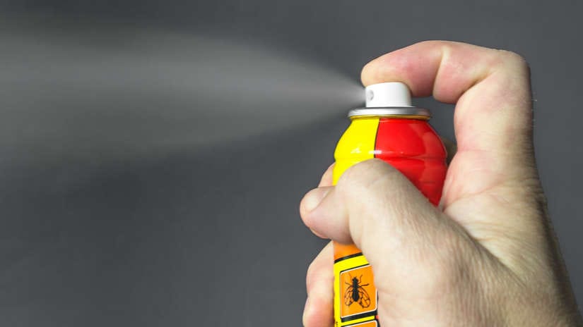 Viviendas limpias, evitan plagas de insectos 11 162416 658614