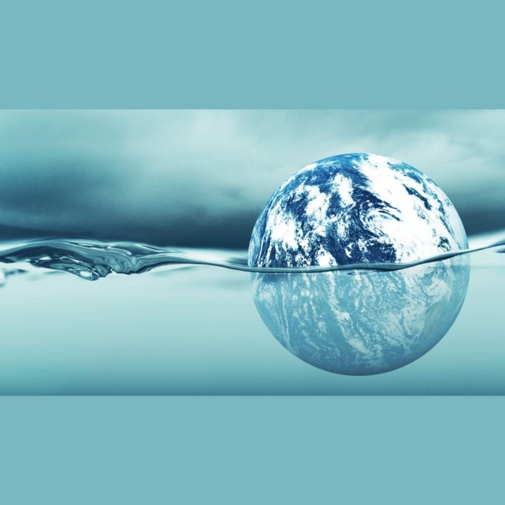 Océano Antártico a altas temperaturas 7 Conoce al Gran Abuelo 1