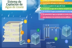 WhatsApp Image 2022 09 06 at 5.55.39 AM