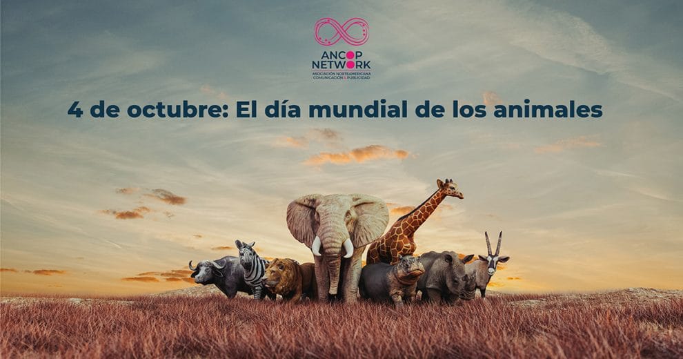 4 de octubre: El día mundial de los animales 11 Nota Dia mundial de los animales
