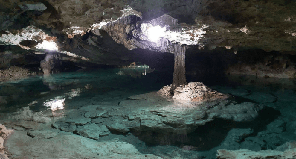 Ambiental News 1 2 e1669781223522