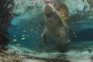 01 nationalgeographic1570630