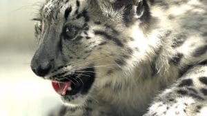 2d812d6b25c219a727df0ede68938187fa8d6e7ew