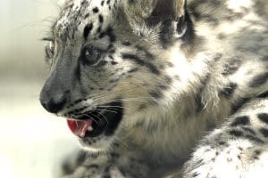 2d812d6b25c219a727df0ede68938187fa8d6e7ew