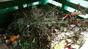 3844c9198ab22033d16bcd4c4ba40adcca706572w