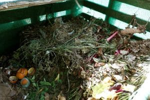 3844c9198ab22033d16bcd4c4ba40adcca706572w