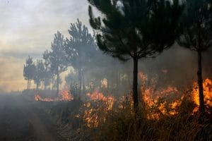 5c5d999be9180ffc718b4568