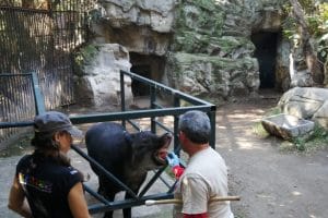 Capacitacionzo25122022