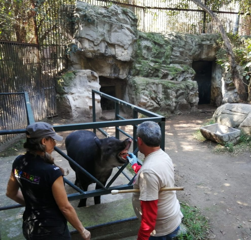 Fomentan capacitación en zoológicos 11 Capacitacionzo25122022