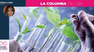 Columna Norma Luna 9