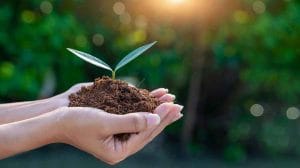 GettyImages 1196833132