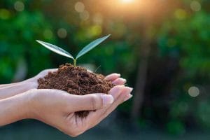 GettyImages 1196833132