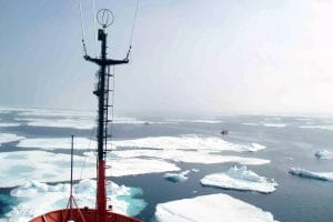 MEDIO AMBIENTE16122022