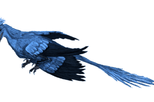 Microraptor mmartyniuk true colors