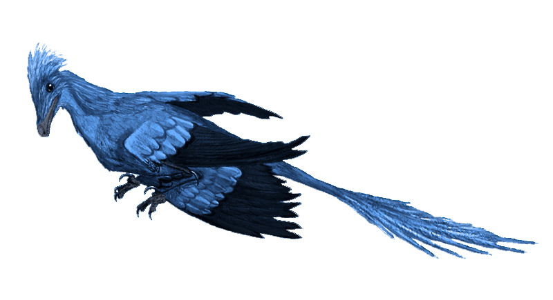 Microraptor mmartyniuk true colors