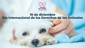 Nota Derechos de los Animales