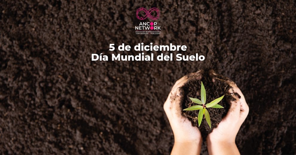 05 de diciembre el Día Mundial del Suelo 11 Nota Dia Mundial del Suelo