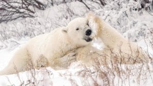 OR5SUCTPENJW3EV74XMWGBTMTY