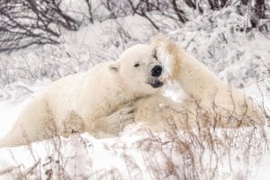 OR5SUCTPENJW3EV74XMWGBTMTY