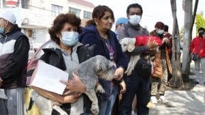 WhatsApp Image 2022 12 07 at 3.17.45 PM