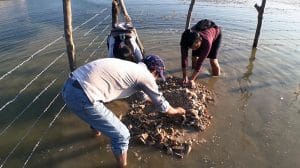 a999d4bdaaaee87ad64e785bdbf3977ac89cdcaew