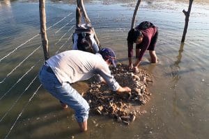 a999d4bdaaaee87ad64e785bdbf3977ac89cdcaew