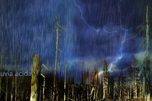lluviaacida