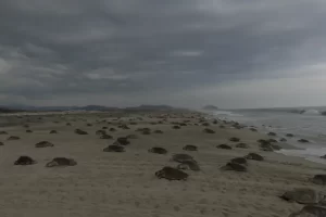 mes septiembre fecha comienza temporada