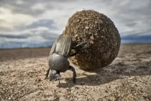 nationalgeographic2788626