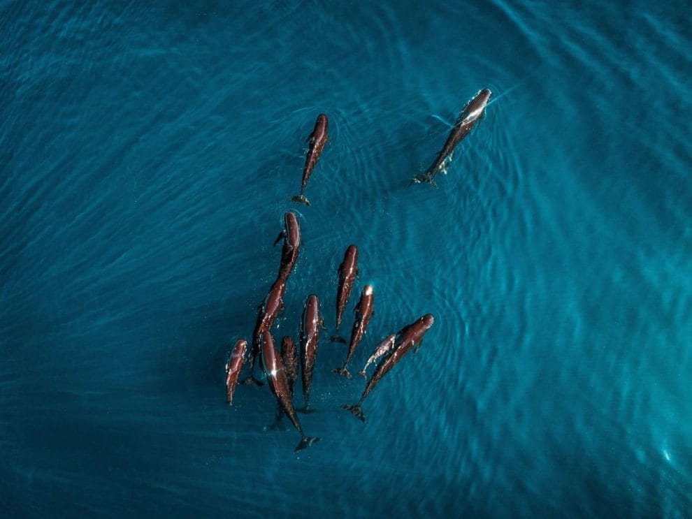 1591167896 906147 1591168106 noticia normal