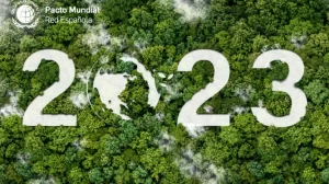 2023 v2 Post Wordpress