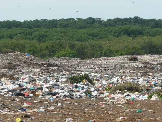 Acumulación de basura en Holbox 7 3ETKDQYSOZFH3LKTTYIN6FUSEI