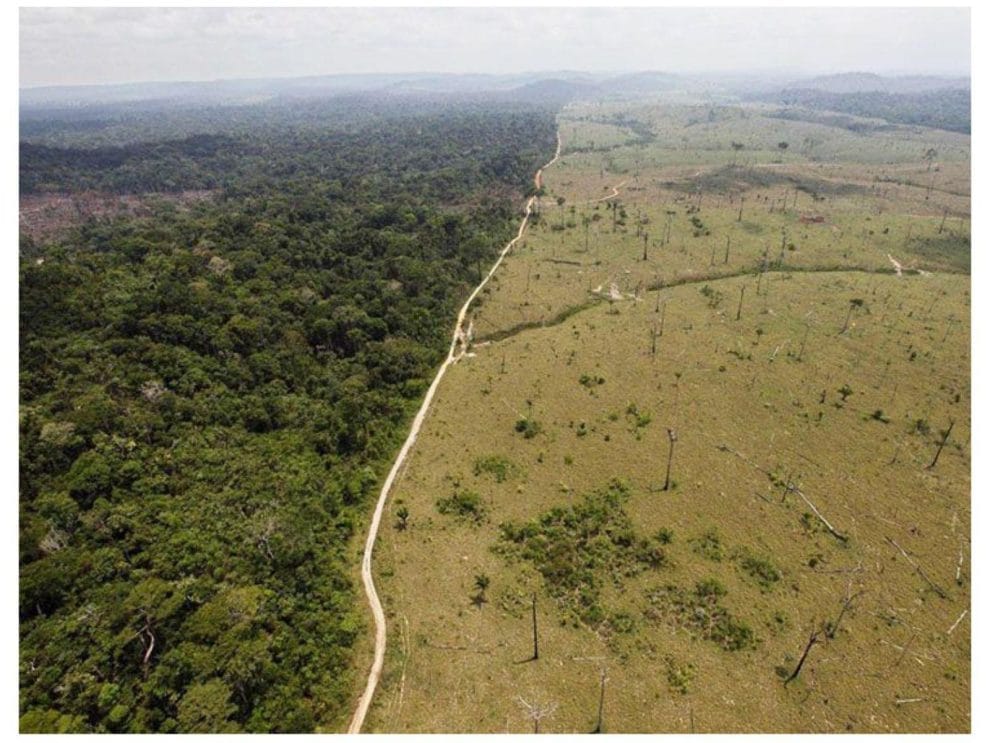Por degradación de ecosistemas el planeta enfrenta “sexta extinción masiva”, alerta la ONU 11 La sexta extincion masiva se acelera