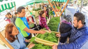 thumb 2344 1153 706 0 0 crop